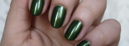 Зелень лака Golden Rose Rich Colour 110