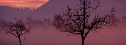 Лак Essie. Island hopping