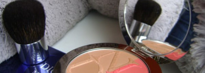 Diorskin Nude Tan Paradise Duo Iridescent Blush & Bronzing Powder with Kabuki Brush - бронзирующая пудра и румяна от Dior (002 Coral Glow)
