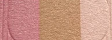 Shiseido Face Color Enhancing Trio RD 1 (Apple) Румяна с шелковистой текстурой и эффектом сияния