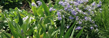 Тихая заводь от Hermes Un Jardin Sur Le Nil