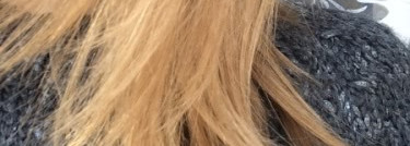 Matrix - Biolage Exquisite Oil