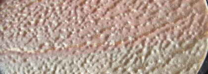 Красавица  MAC Freshen Up High-Light Powder (Wash & Dry)