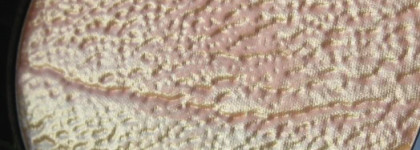 Красавица  MAC Freshen Up High-Light Powder (Wash & Dry)