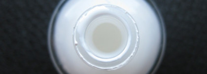 Пастель от Alvin D'or...