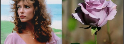 "Пепел Розы". Цвет сгоревших в пламени надежд