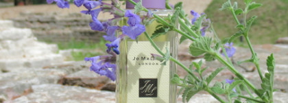 Она любила лаванду. Jo Malone London Lavender & Coriander Cologne
