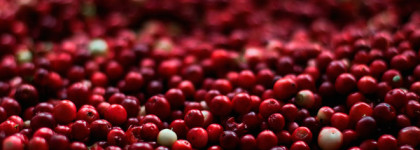 Время горьковатой клюквы. Chanel Stylo Yeux Waterproof Longlasting Eyeliner 959 Psyche'