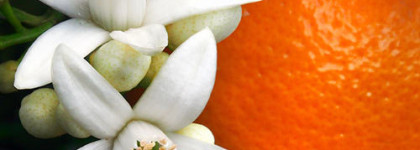 Необычное использование геля для тела с алоэ. Floristica Majorca Aloe&Orange