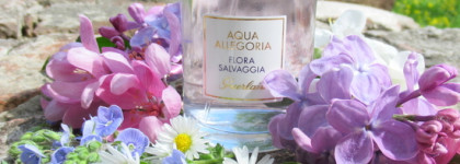 Скромный букет полевых цветов. Guerlain Aqua Allegoria Flora Salvaggia