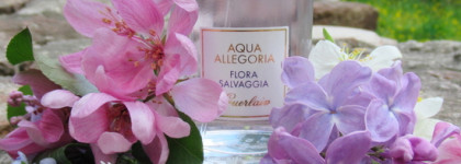 Скромный букет полевых цветов. Guerlain Aqua Allegoria Flora Salvaggia