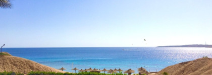 Концентрированное солнце. DKNY Nectar Love Eau De Parfume