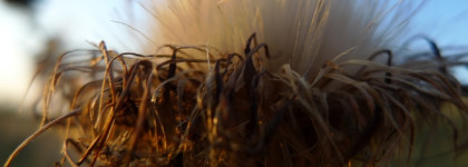 Усмирить одуван. Concept Salon Total Repair Spray Mask 17 in 1