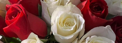 Запущенный сад. Essential Parfums Rose Magnetic by Sophie Labbe