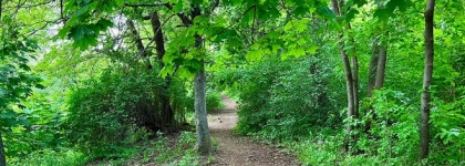 Запущенный сад. Essential Parfums Rose Magnetic by Sophie Labbe