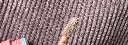 Те самые корейские губы. Сhupa Сhups Marshmallow Lip Mousse в оттенке Hot Cocoa