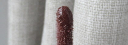 Захвативший соцсети Fenty Beauty Gloss Bomb в оттенке Rose Amber 13