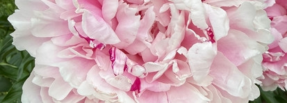 Dior Miss Dior Brume Soyeuse Pour Le Corps Silky Body Mist