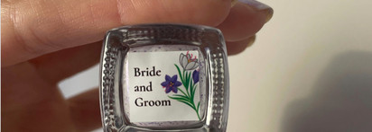 Самая красивая слюда. Moth Bride And Groom