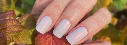 Лаколюбимцы из 2023