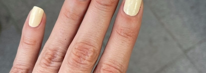 Лаколюбимцы из 2023