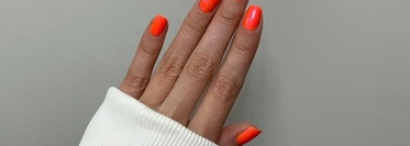 Лаколюбимцы из 2023