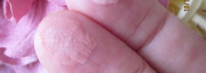 Румяна Teinte Delicate (тон № 12) от Vivienne Sabo