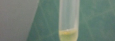 Надоел кариес? Now Foods, Oil of Oregano Blend, 1 fl oz (30 ml)