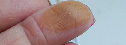 The Body Shop Honey Bronzing Powder #4 deep matte