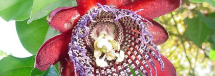 Очищение кожи или мои гели для умывания