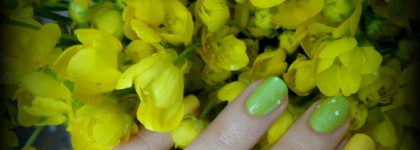 Лютики-цветочки с лаками Essence Color&Go№137 Wanna be your sunshine и Kaleidoscope Nail Polish № 03 модница на пикнике