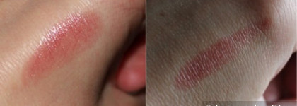 Мой неидеальный, но любимый друг Chanel Rouge Coco Shine #66 Bel Ami