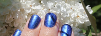 Chanel Le Vernis Nail Colour #667 Bel-Argus - мой долгожданный красавец