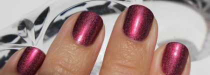 A-England Briar Rose - отголосок весны накануне осени