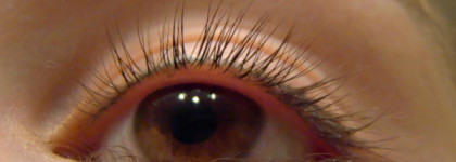 Helena Rubinstein Lash Queen Mascara Feline Blacks 01 Black Black. Любви не вышло, жаль