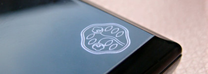 Теневая алхимия. Shiseido Luminizing Satin Eye Color RD 709 Alchemy