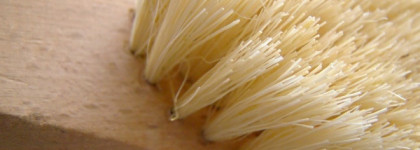 Массажная щетка из кактуса и бука марки Riche