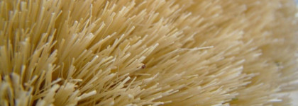 Массажная щетка из кактуса и бука марки Riche