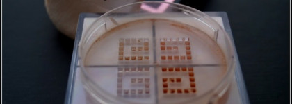 Мои помощники в ежедневном макияже. Часть 1