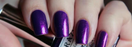 El Corazon Magic Attraction 423/554