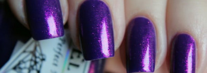 El Corazon Magic Attraction 423/554