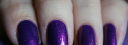 El Corazon Magic Attraction 423/554