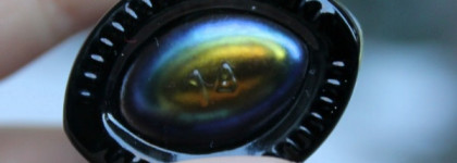 Dance Legend Chameleon Knight