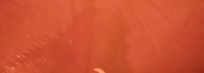 Часть моего ухода от Clarins