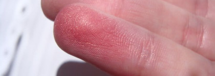 Bourjois Blusher 033 Lilac D'or