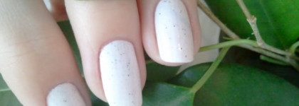 Пока один далматин El Corazon №423/81 Dalmatian