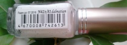 Пока один далматин El Corazon №423/81 Dalmatian