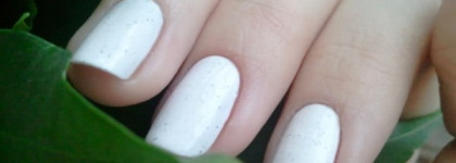 Пока один далматин El Corazon №423/81 Dalmatian