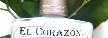 Пока один далматин El Corazon №423/81 Dalmatian