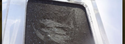 Тени для век Catrice Absolute Eye Color Eyeshadow Mono №550,140,340,560,590